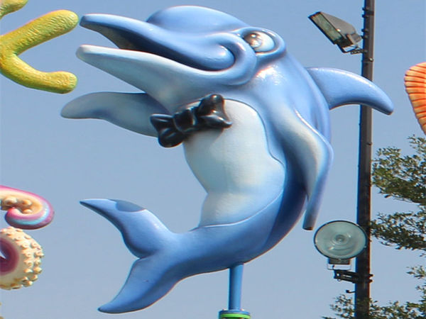 噴水海豚 噴水海豚